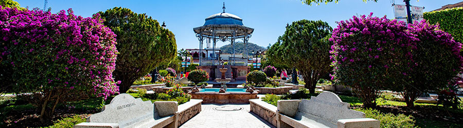 Private Talpa & Mascota Pueblos Magicos Tour 4