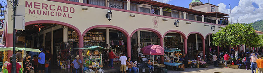 Private Talpa & Mascota Pueblos Magicos Tour 5
