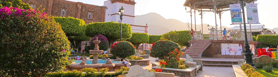 Private Talpa & Mascota Pueblos Magicos Tour 8