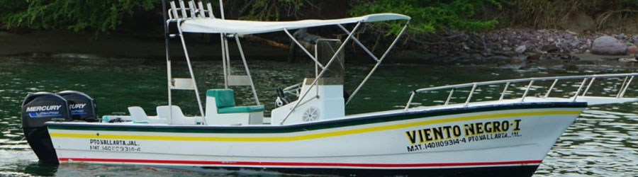 Renta de Panga Privada en la Bahía de Banderas 1