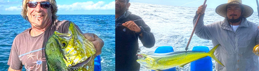 Renta de Panga Privada en la Bahía de Banderas 4