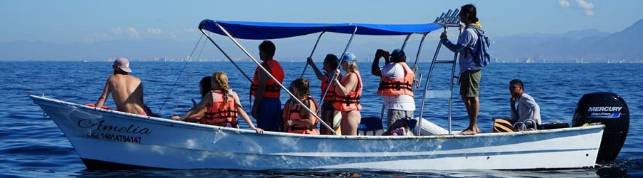 Private Panga Whale Watching Charter 4