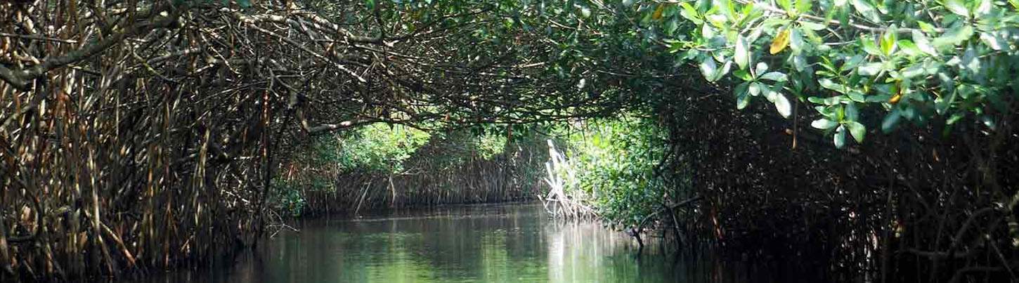 Búsqueda Privada a San Blas & La Tovara 5