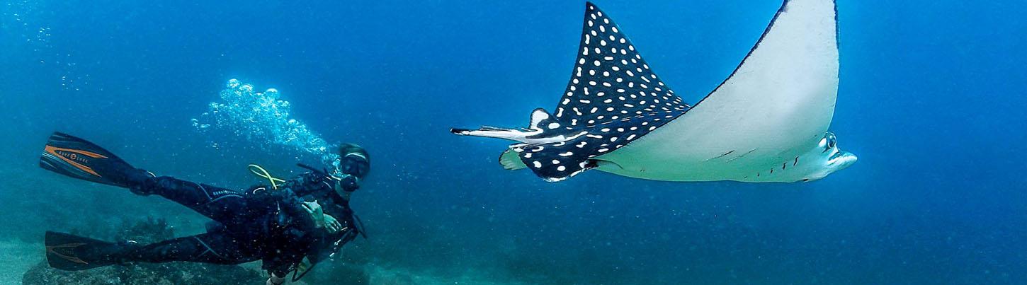 Private Scuba Diving Trips 2