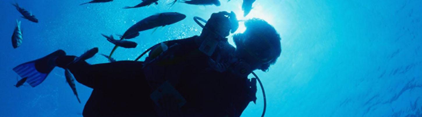 Private Scuba Diving Trips 6