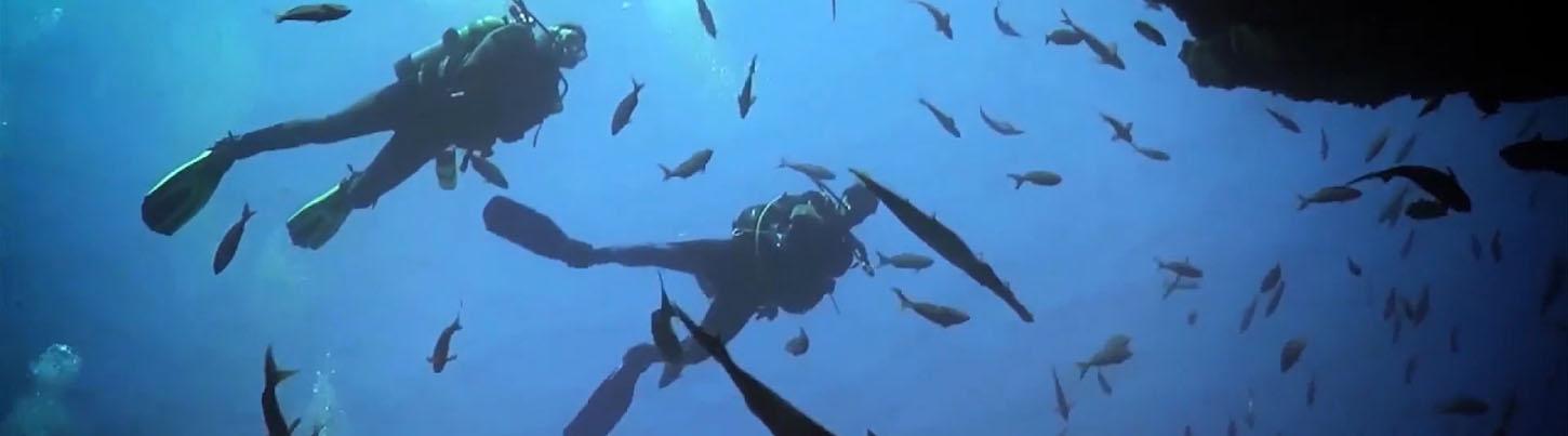 Private Scuba Diving Trips 7