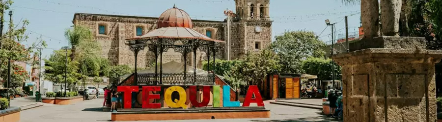 Private Tequila, Jalisco Tour 6