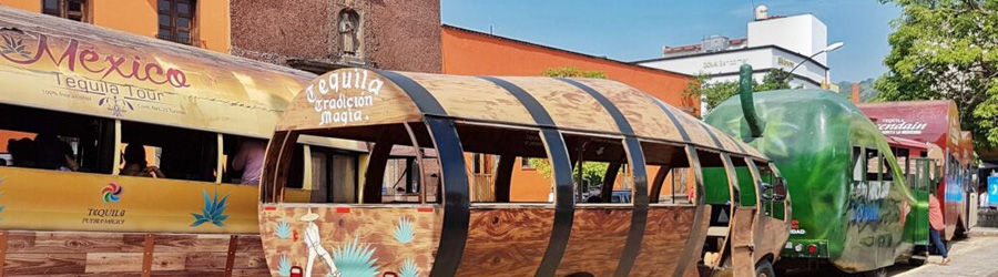 Private Tequila, Jalisco Tour 7