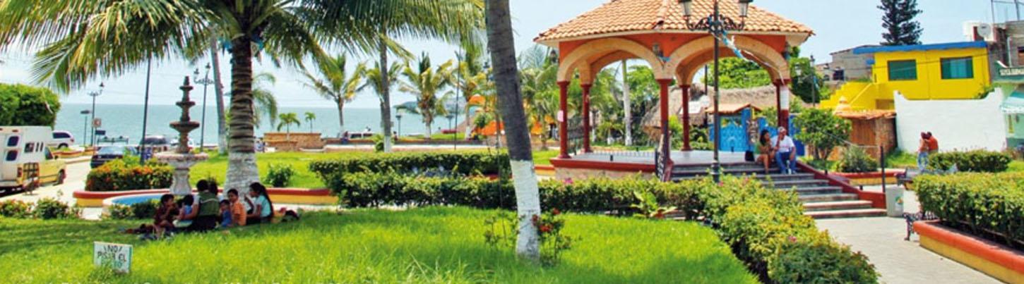 Servicio de Chofer Privado 3