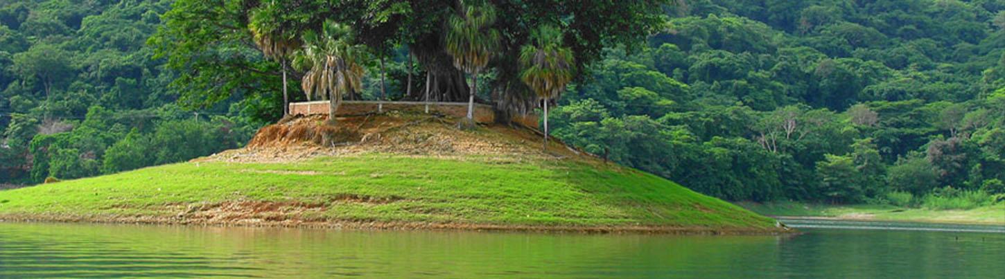 Servicio de Chofer Privado 6