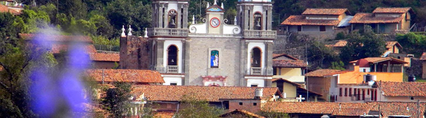 Servicio de Chofer Privado 7