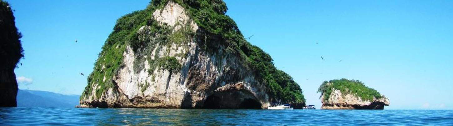 Private Whale Watching in Puerto Vallarta 4