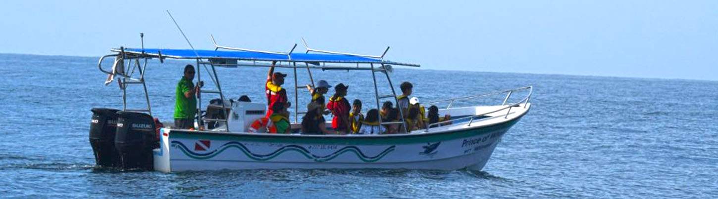 Private Whale Watching in Puerto Vallarta 5