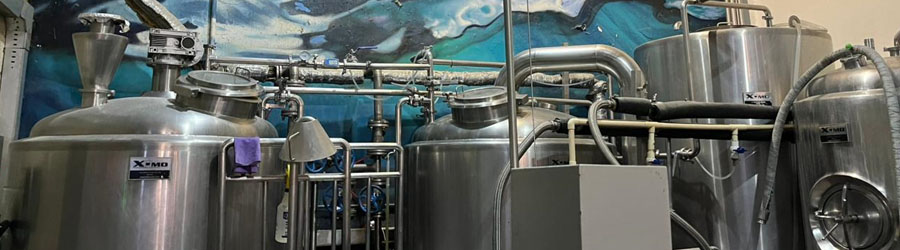 Puerto Vallarta Bikes & Brews Tour 1