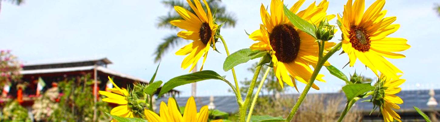 Puerto Vallarta Botanical Gardens Tour 1