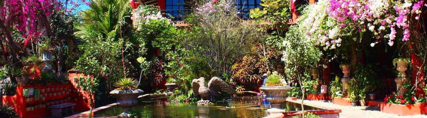 Puerto Vallarta Botanical Gardens Tour 5