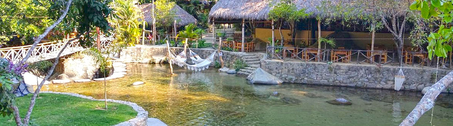 Puerto Vallarta UTV + Edenva Canopy Combo 6