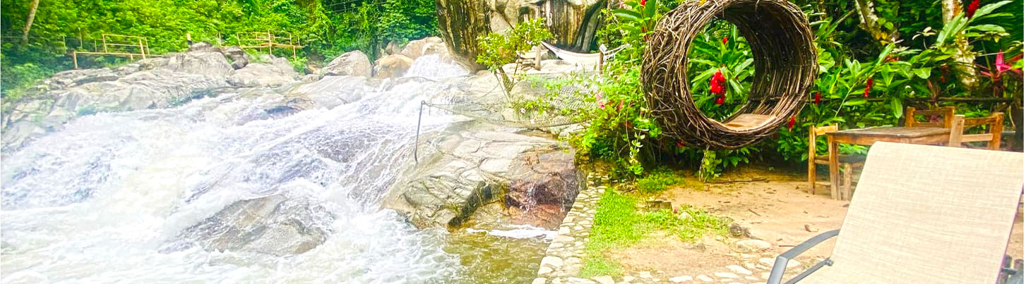 Puerto Vallarta UTV + Edenva Canopy Combo 8