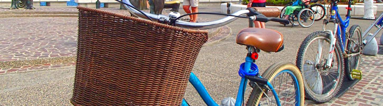 Excursión en Bicicleta en Puerto Vallarta 8