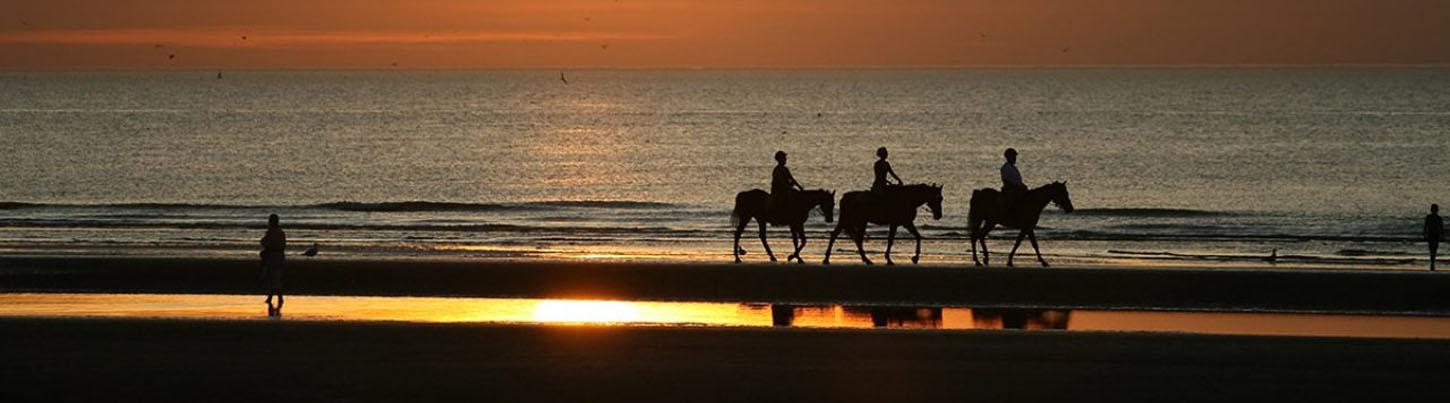 Vista Paraiso Canopy + Litibu Beach Horseback Riding 3