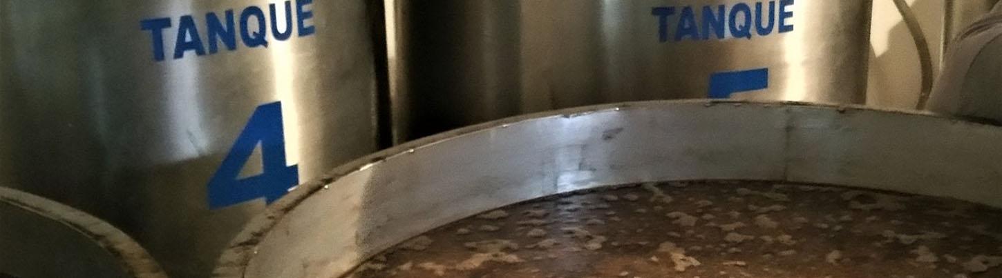 Rancho Los Veranos Tequila Tour 4