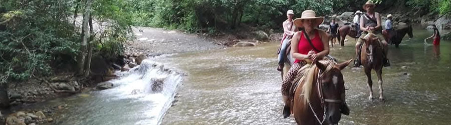 Rio Cuale Horseback Ride Puerto Vallarta 1