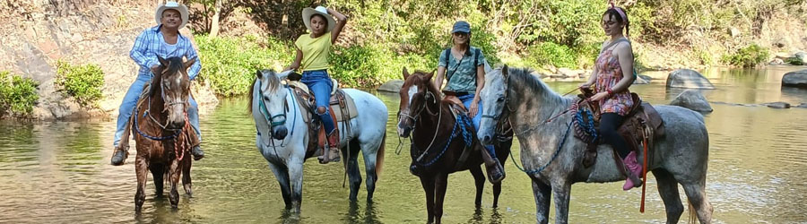 Rio Cuale Horseback Ride Puerto Vallarta 5