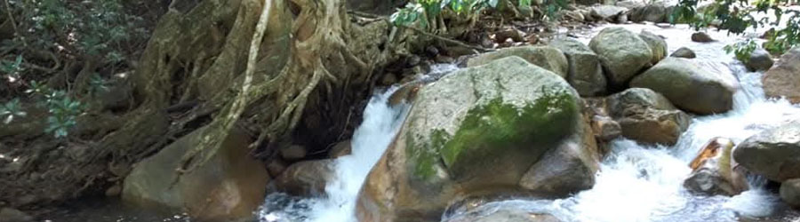 Rio Cuale Horseback Ride Puerto Vallarta 7