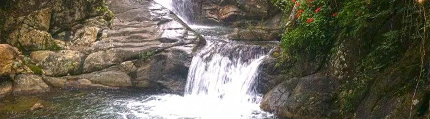 Sierra Madre Mule Riding Rio Cuale 2