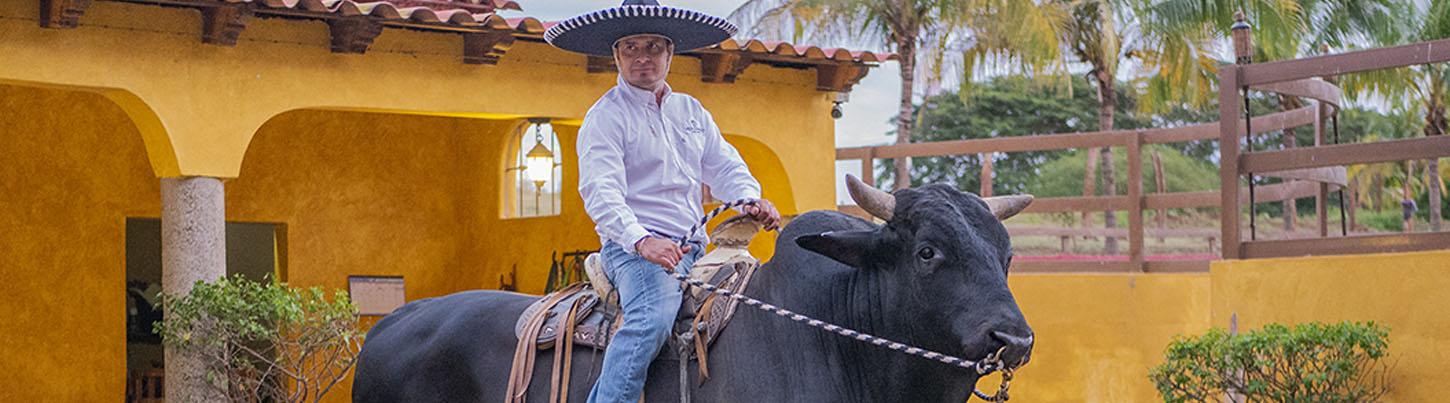 Riviera Nayarit Mexican Dinner & Mariachi Show 4