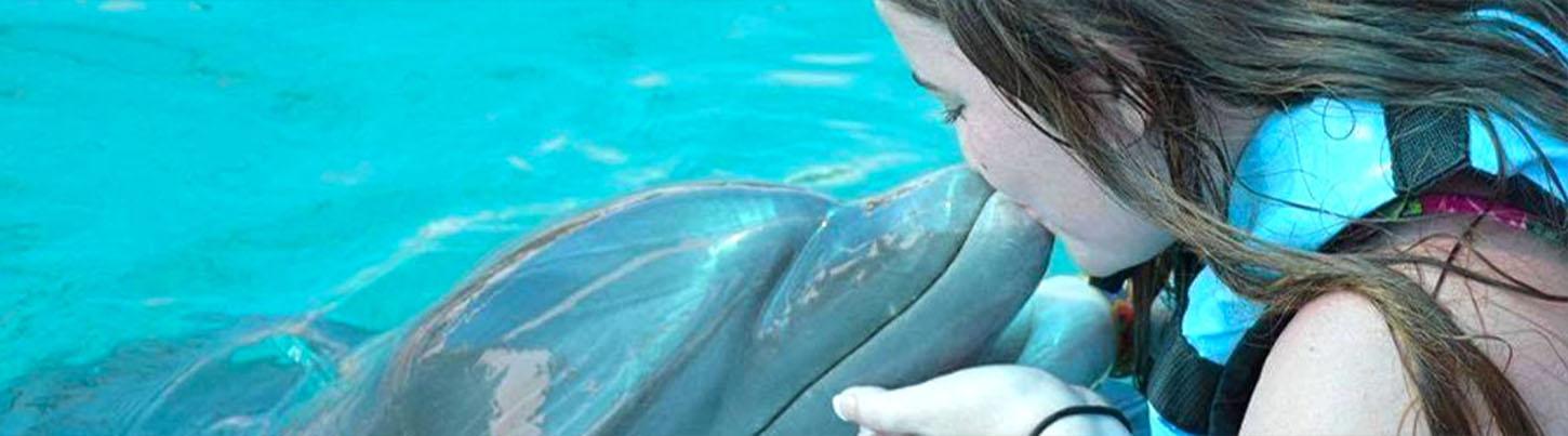 Royal Dolphin Swim + Aquaventuras Water Park 2