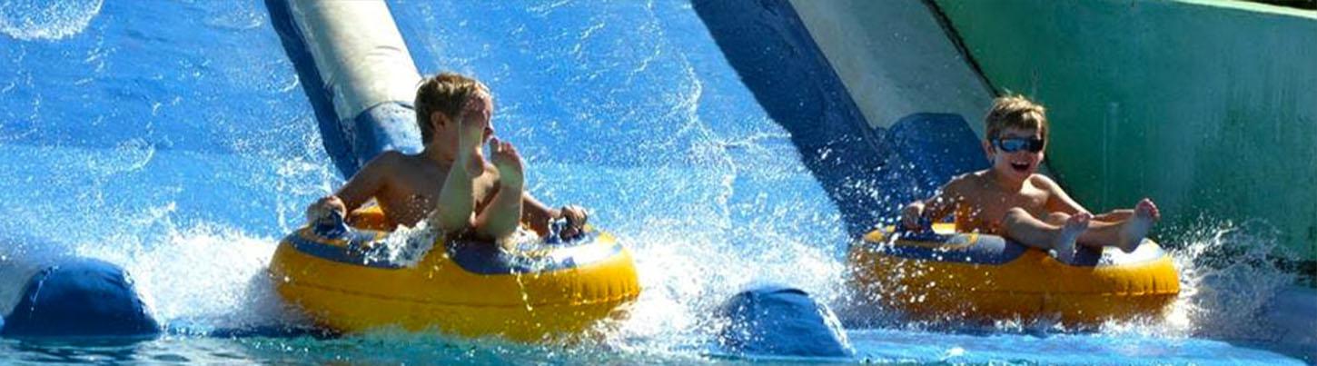 Royal Dolphin Swim + Aquaventuras Water Park 8