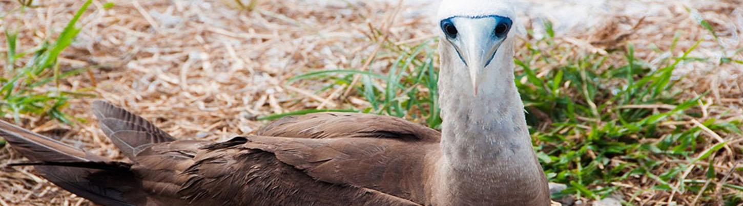 Safari Float en La Tovara + Aventura Ecológica en San Blas Nayarit 2