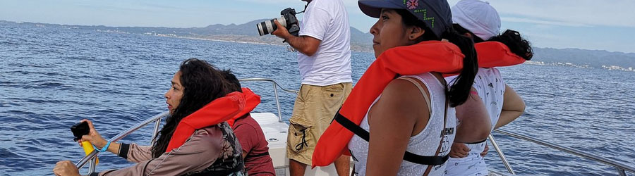Small Boat Whale Watching Banderas Bay 5