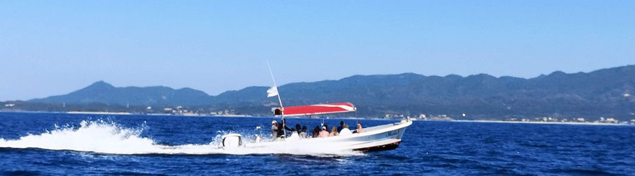 Small Boat Whale Watching Banderas Bay 7