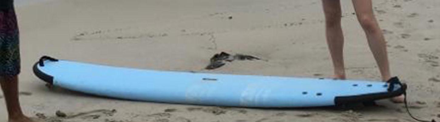 Stand-Up Paddle Board Rental & Beach Break in Playa Camarones 5