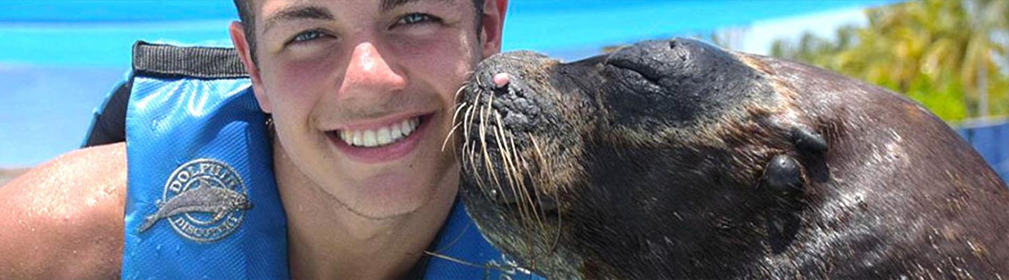 Sea Lion Discovery + Aquaventuras Water Park 1
