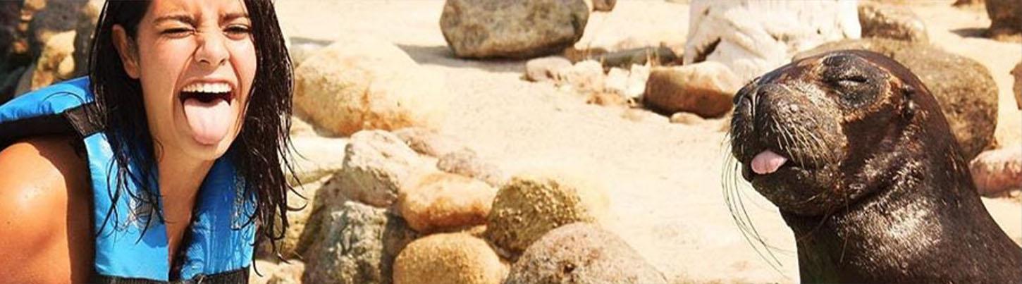 Sea Lion Discovery + Aquaventuras Water Park 4