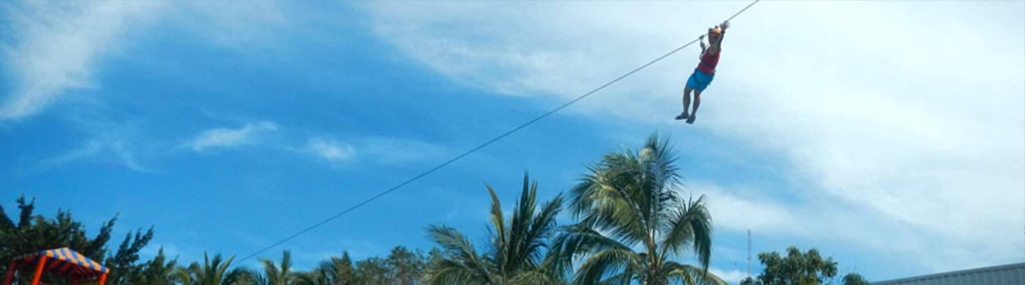 Sea Lion Discovery + Aquaventuras Water Park 7