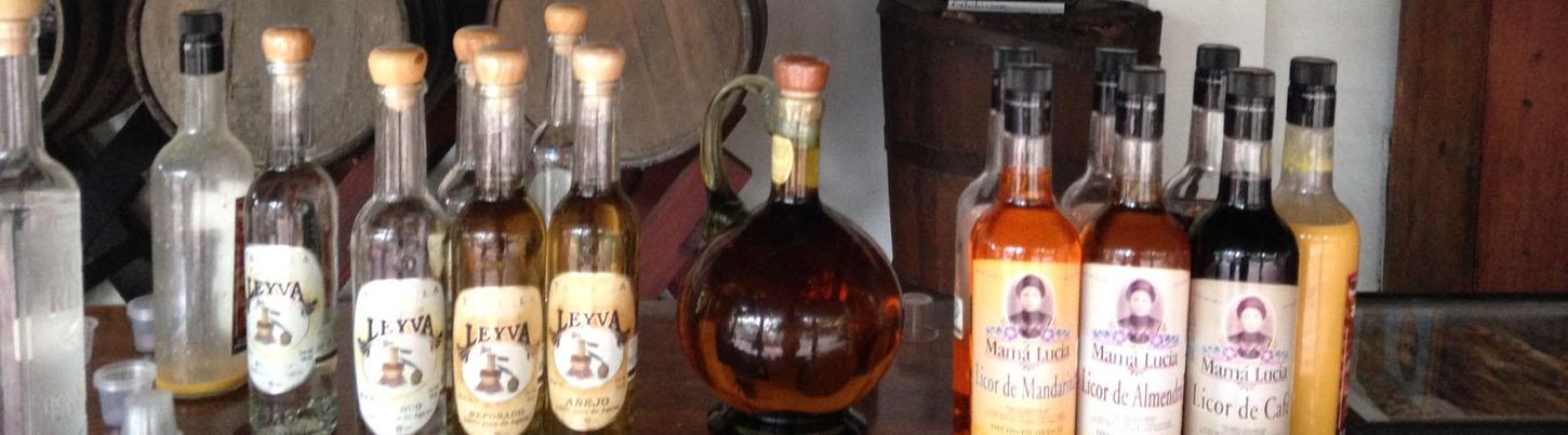 Pueblo del Tequila & Sitio Arqueológico Los Toriles 4