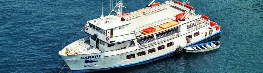 Private Triple Decker Catamaran in Puerto Vallarta 3