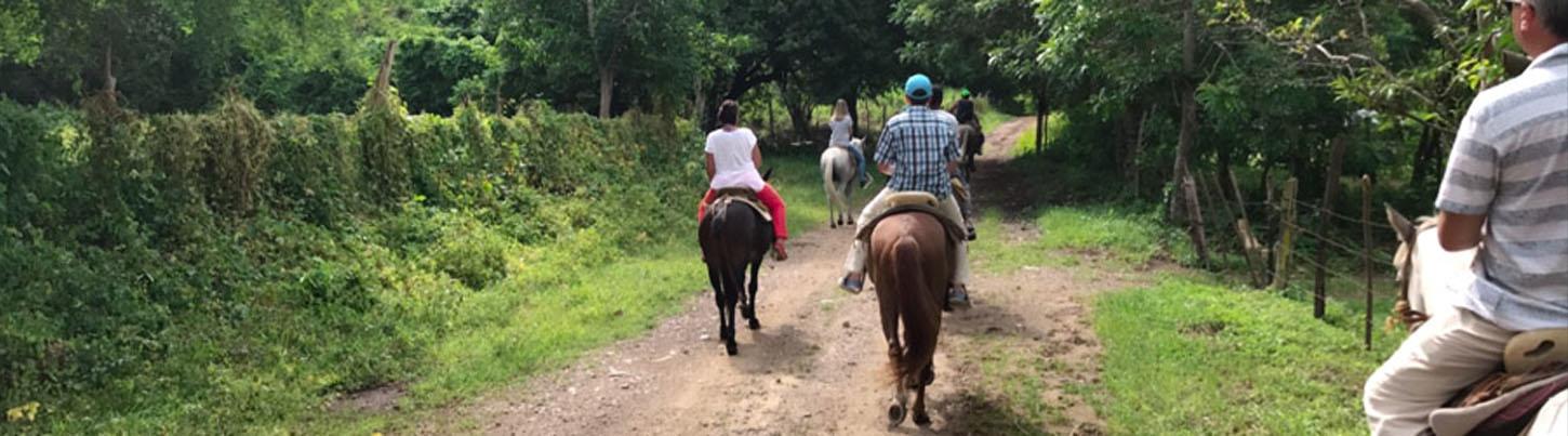 Puerto Vallarta Horseback Ride & Waterfall Hike 6