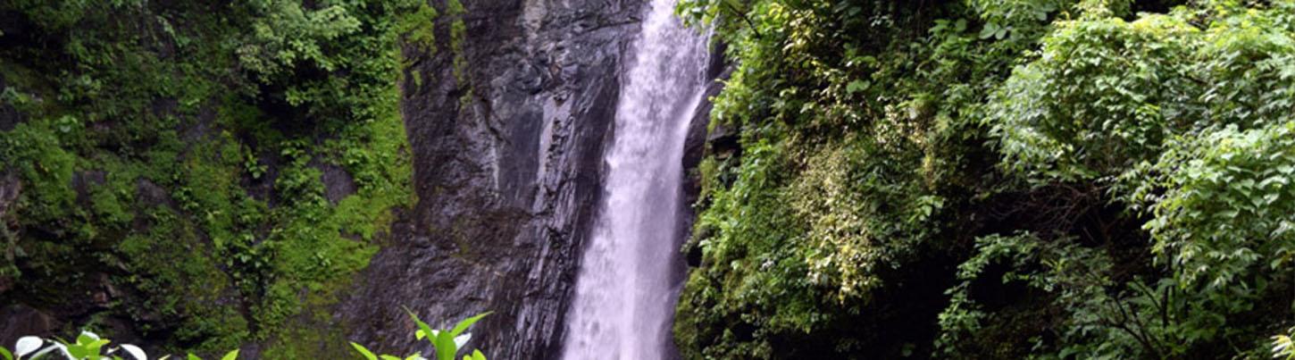 Puerto Vallarta Horseback Ride & Waterfall Hike 8