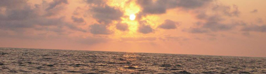 Paseo en Velero VIP al Atardecer en Puerto Vallarta 8