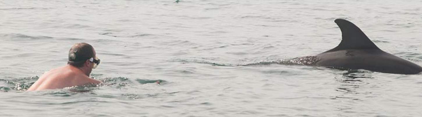 Wild Dolphin Discovery & Snorkel Banderas Bay 3