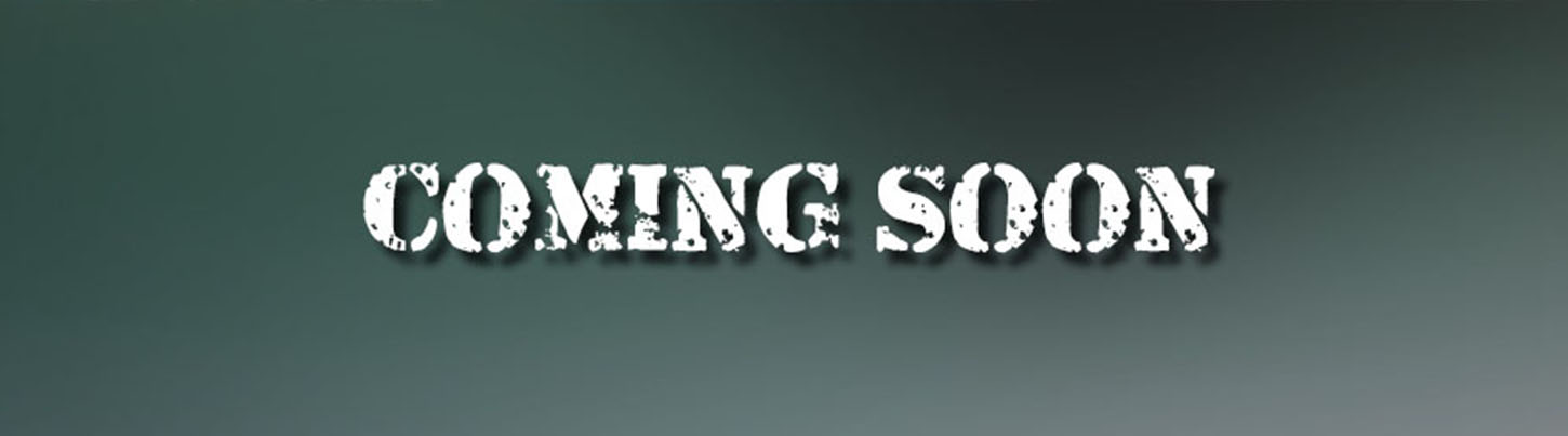 1 Tank Afternoon Dive 7