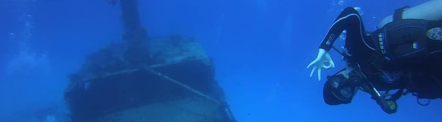 Cozumel Diving Excursion From Playa del Carmen 3