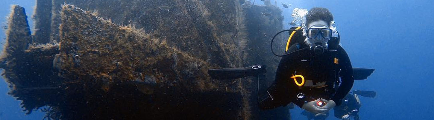 Cozumel Diving Excursion From Playa del Carmen 4