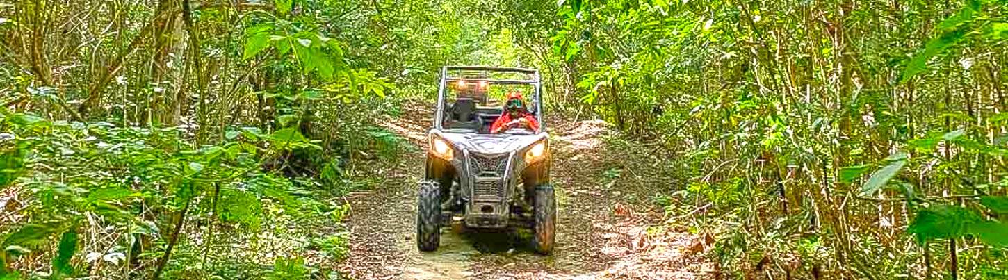 Playa Del Carmen Dune Buggy & Cenote Swim 3