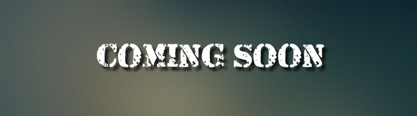 Rio Lagartos and Ek Balam 6